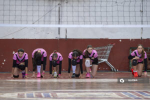 Festival Volley de la Sierras.