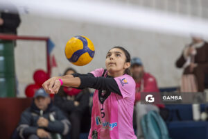 Festival Volley de la Sierras.