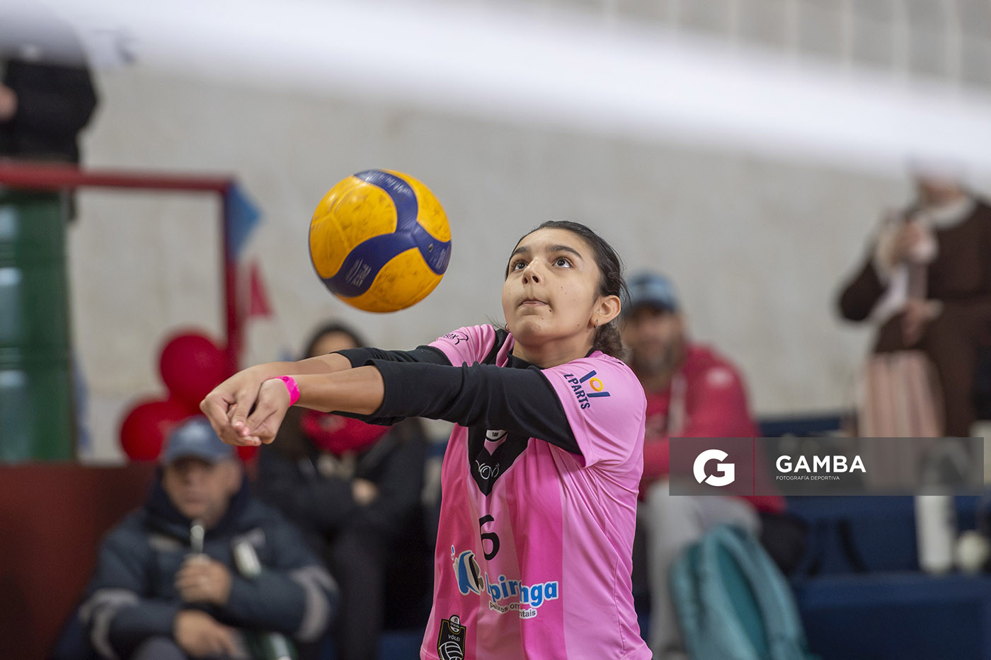 Festival Volley de la Sierras.