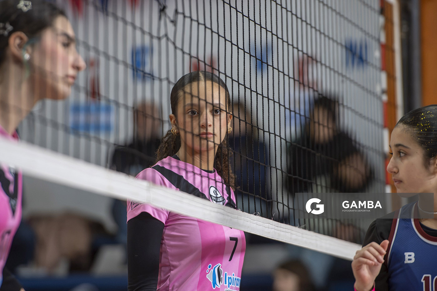 Festival Volley de la Sierras.