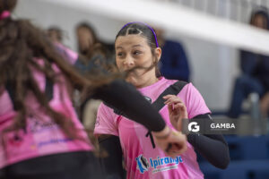Festival Volley de la Sierras.