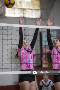 Festival Volley de la Sierras.
