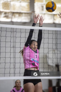 Festival Volley de la Sierras.