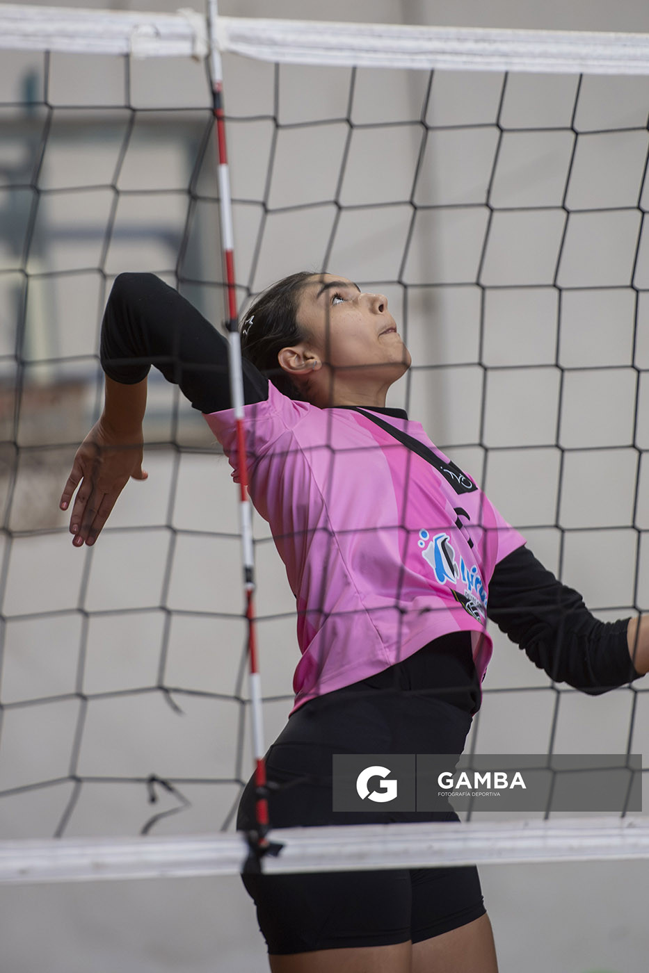 Festival Volley de la Sierras.