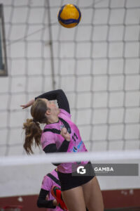 Festival Volley de la Sierras.