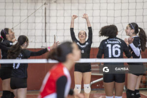 Festival Volley de la Sierras.