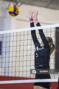 Festival Volley de la Sierras.