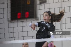 Festival Volley de la Sierras.