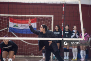 Festival Volley de la Sierras.