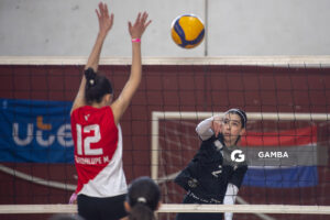 Festival Volley de la Sierras.