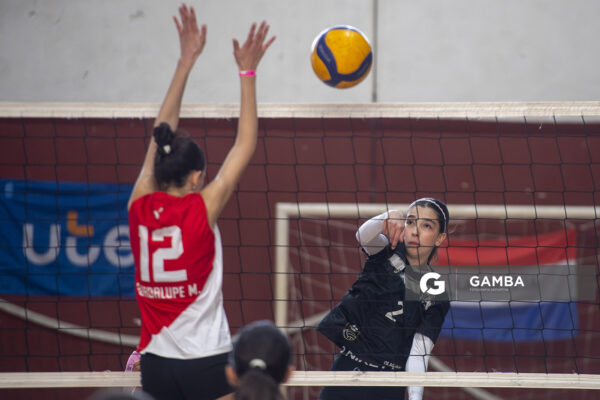 Festival Volley de la Sierras.