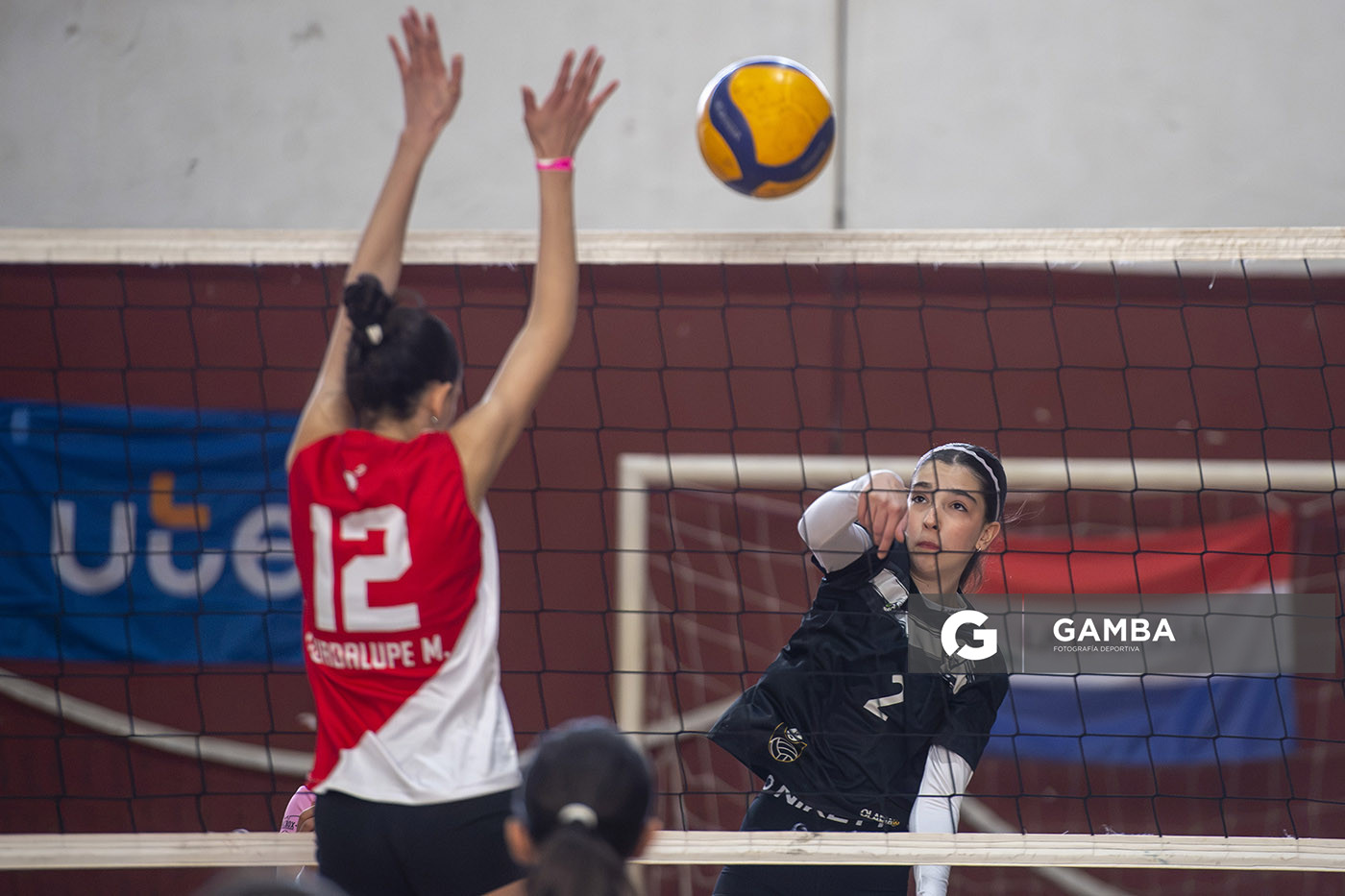 Festival Volley de la Sierras.