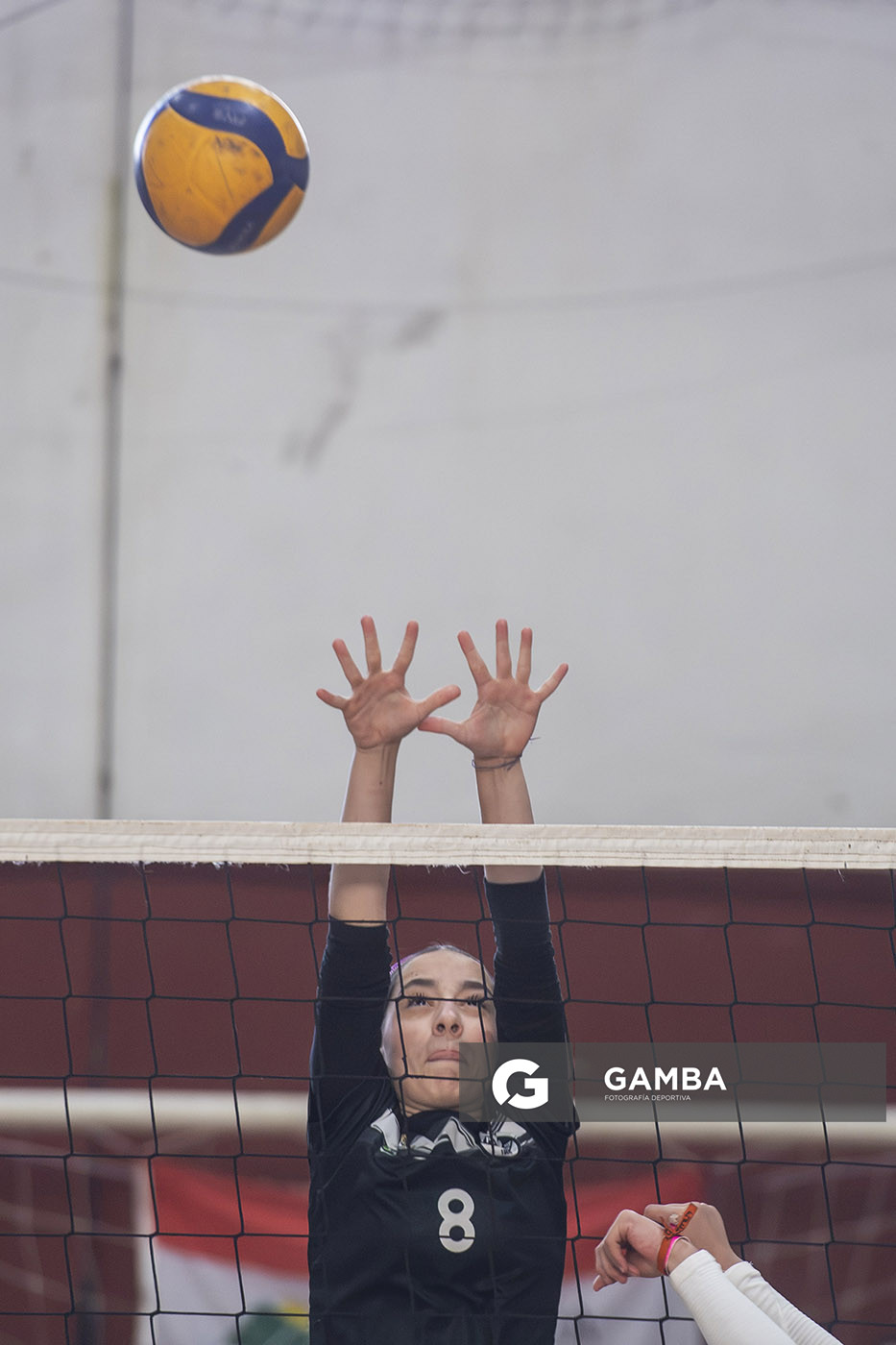Festival Volley de la Sierras.