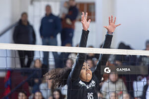 Festival Volley de la Sierras.