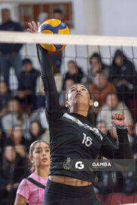 Festival Volley de la Sierras.
