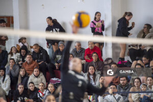 Festival Volley de la Sierras.