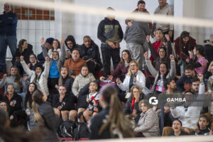 Festival Volley de la Sierras.
