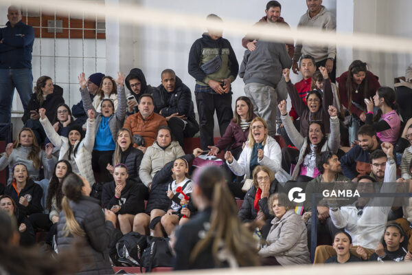 Festival Volley de la Sierras.