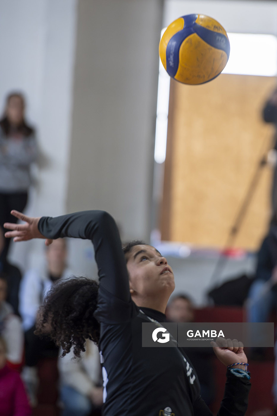 Festival Volley de la Sierras.