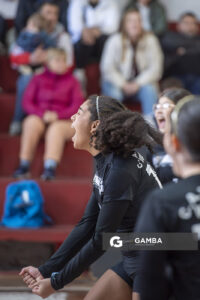 Festival Volley de la Sierras.