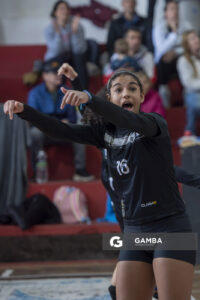 Festival Volley de la Sierras.