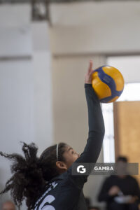 Festival Volley de la Sierras.