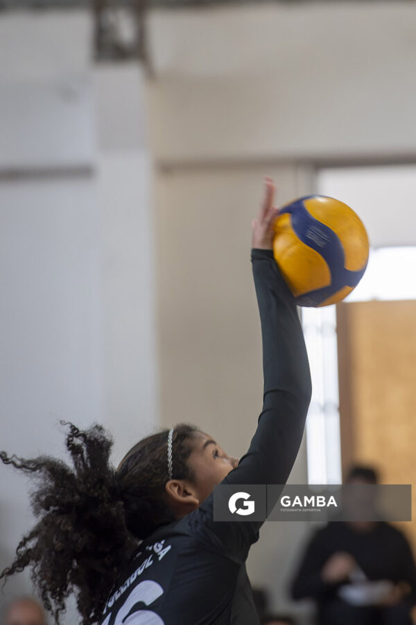 Festival Volley de la Sierras.