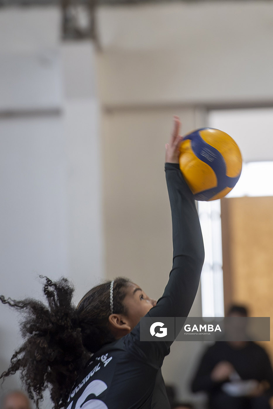Festival Volley de la Sierras.