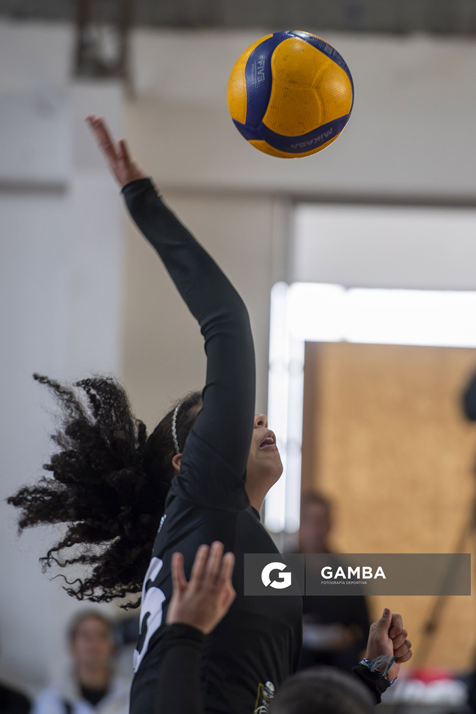 Festival Volley de la Sierras.