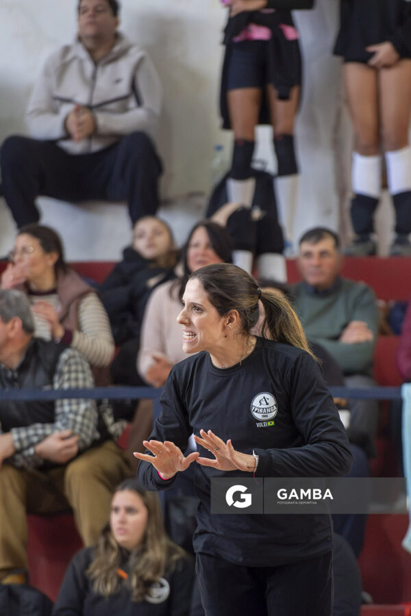 Festival Volley de la Sierras.