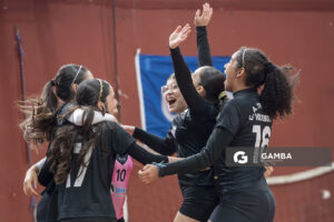 Festival Volley de la Sierras.