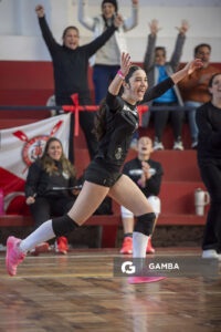 Festival Volley de la Sierras.