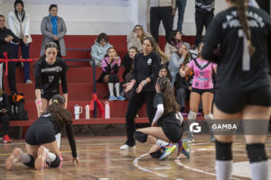 Festival Volley de la Sierras.