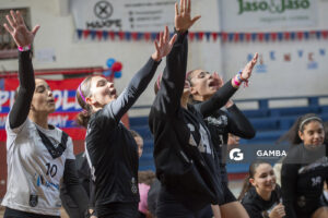 Festival Volley de la Sierras.